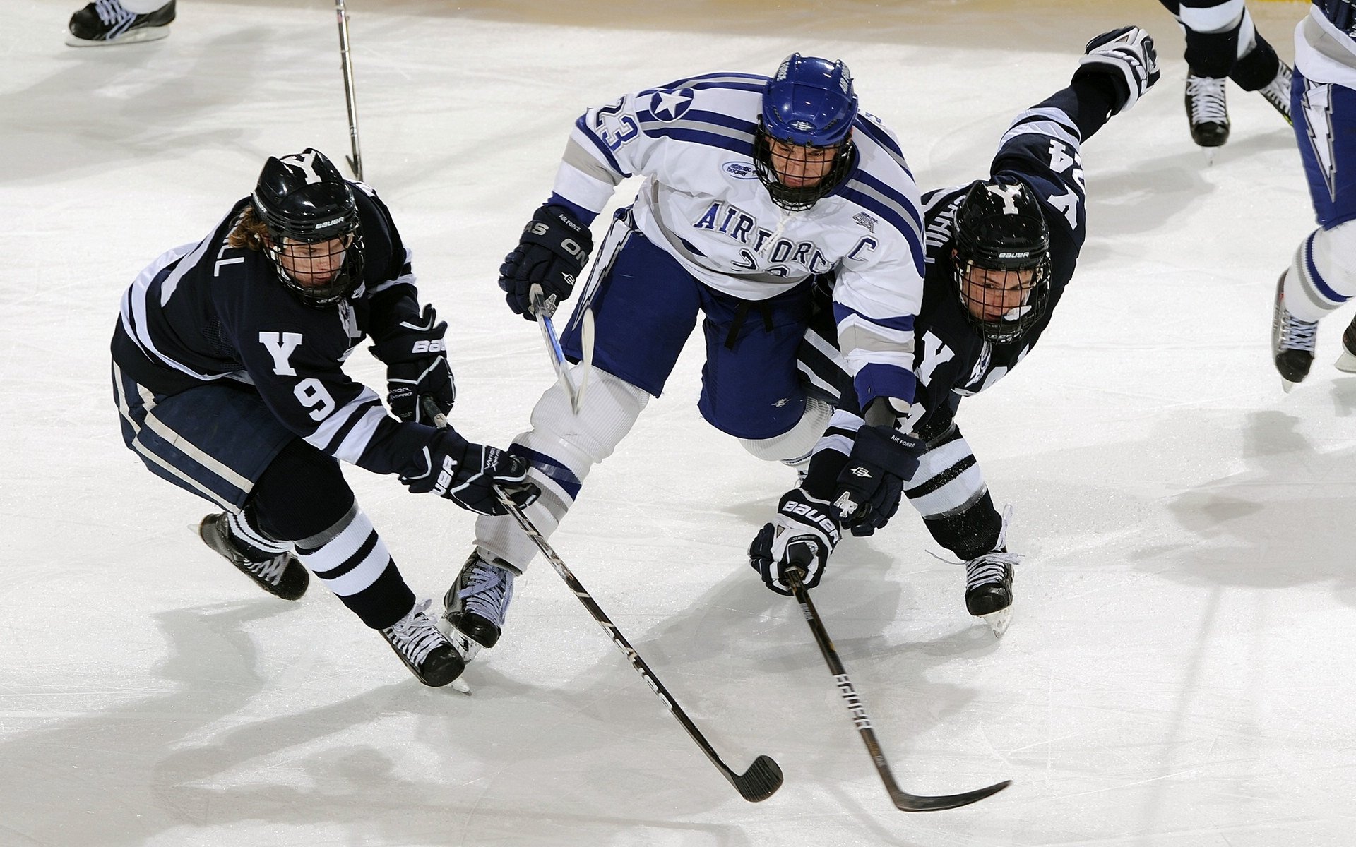 绿茵绝杀与球台统治，当葡萄牙的激情遇上张本的冷静